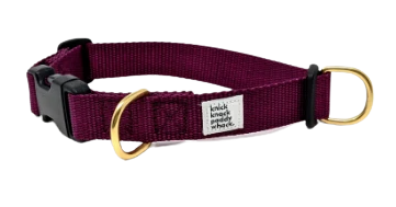Buckle Collar - Purple